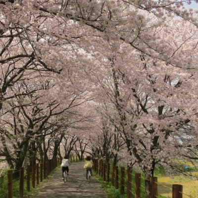 【返礼品なし】岐阜県輪之内町ふるさと応援寄附(一口:5,000円)