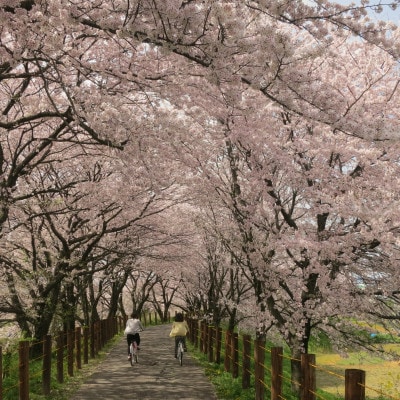 【返礼品なし】岐阜県輪之内町ふるさと応援寄附(一口:30,000円)