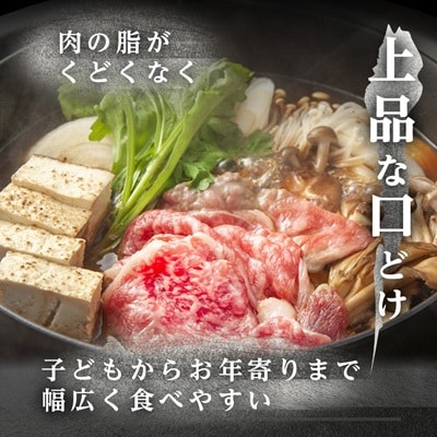 飛騨牛【白銀ロース】すき焼き・しゃぶしゃぶ用500g