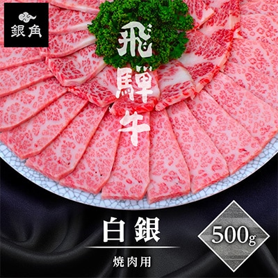 【飛騨牛】白銀焼肉用500g