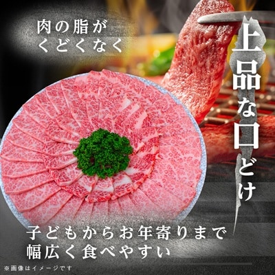 【飛騨牛】白銀焼肉用500g