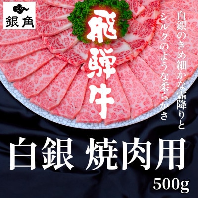 【毎月定期便】【飛騨牛】白銀焼肉用500g全6回