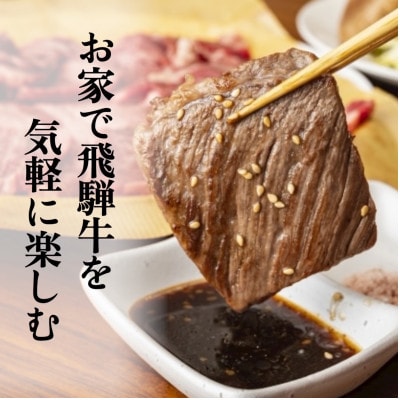 【毎月定期便】【訳あり】飛騨牛切り落し焼肉用600g全6回