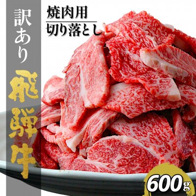 【毎月定期便】【訳あり】飛騨牛切り落し焼肉用600g全12回