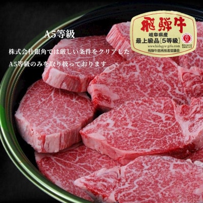 【毎月定期便】厚切り【飛騨牛】サーロインステーキ500g(250g×2枚)全6回