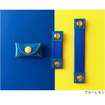 ワンちゃんネコさまに!『迷子にさせないお名前ポーチ「Amigo!」』小さいサイズブルー×レモン