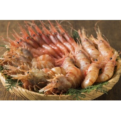 北海道苫前産ボタンエビ イバラモエビ 甘エビ食べ比べセット 500g 3 お礼品詳細 ふるさと納税なら さとふる