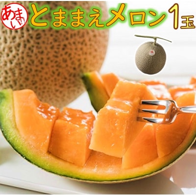【令和8年産先行受付】とままえメロン　1玉(北海道産　赤肉　1玉入り　糖度14度　甘い　フルーツ)