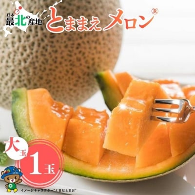 【2026年7月中旬から発送】とままえメロン 1玉 1.6kg前後 大玉サイズ rum08