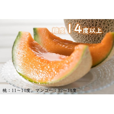 【令和8年産先行受付】とままえメロン　1玉(北海道産　赤肉　1玉入り　糖度14度　甘い　フルーツ)