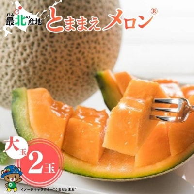 【2026年7月中旬から発送】とままえメロン 2玉 計3.2kg前後 大玉サイズ rum09