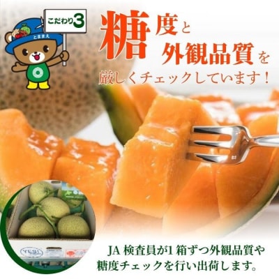 【2026年7月中旬から発送】とままえメロン 2玉 計3.2kg前後 大玉サイズ rum09