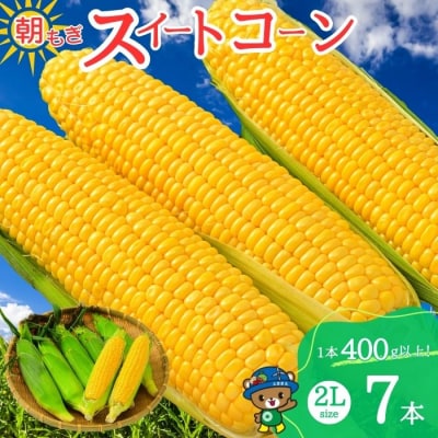 【2026年8月上旬から発送】北海道とままえ産 スイートコーン 2Lサイズ 7本 rum10