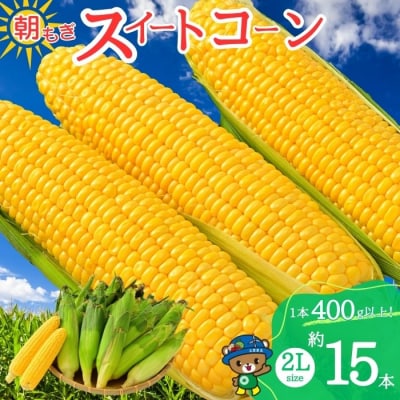 【2026年8月上旬から発送】北海道とままえ産 スイートコーン 2Lサイズ 約15本 rum11