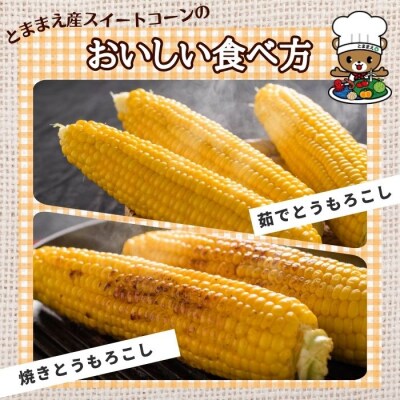 【2026年8月上旬から発送】北海道とままえ産 スイートコーン 2Lサイズ 約15本 rum11