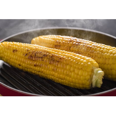 【令和8年産先行受付】北海道とままえ産スイートコーン　約15本 (北海道産　とうもろこし　冷蔵)