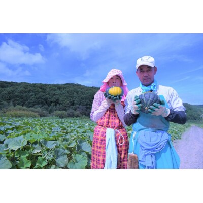 【令和7年産】北海道とままえ産かぼちゃ　3玉