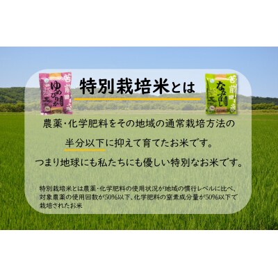 【令和7年産・新米先行受付】【特別栽培米】北海道とままえ産ななつぼし 1kg×5