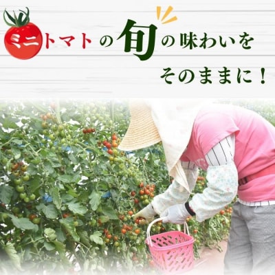 《食品添加物不使用》ミニトマトそのまんまのジュース 1000ml 食塩不使用 mug01