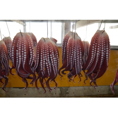 【北海道苫前産のタコ使用】酢蛸　1kg(たこ・道産・正月・おせち・つまみ・肴・茹で・ボイル・冷凍)