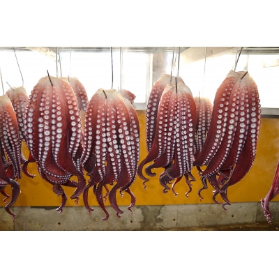 【北海道苫前産】煮タコ(足のみ)　1.5kg前後(たこ・蛸・正月・おせち・刺身・焼き・つまみ・冷凍)