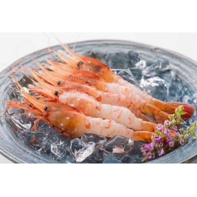 【急速冷凍】北海道苫前産ボタンエビ　500g×2《数量限定》(えび・海老・北海道・小分け・生)