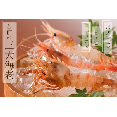 【急速冷凍】北海道苫前産ボタンエビ　500g×2《数量限定》(えび・海老・北海道・小分け・生)