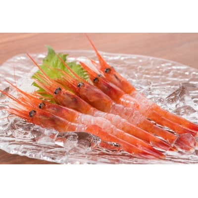 【急速冷凍】北海道苫前産甘エビ小　500g×2《数量限定》(えび・海老・北海道・小分け・生)