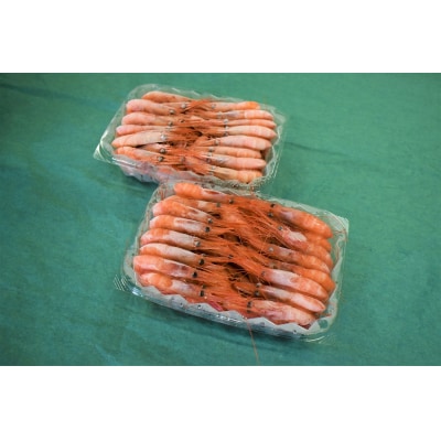 【急速冷凍】北海道苫前産甘エビ小　500g×2《数量限定》(えび・海老・北海道・小分け・生)