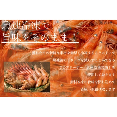 【急速冷凍】北海道苫前産甘エビ小　500g×2《数量限定》(えび・海老・北海道・小分け・生)