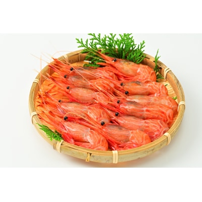 【急速冷凍】北海道苫前産シマエビ　500g×2《数量限定》(えび・海老・北海道・小分け・生)