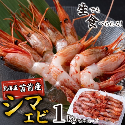 【数量限定】北海道苫前産 シマエビ 1kg(500g×2) しまえび 縞海老 えび kit13