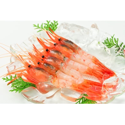 【急速冷凍】北海道苫前産シマエビ　500g×2《数量限定》(えび・海老・北海道・小分け・生)