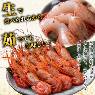 【数量限定】北海道苫前産 シマエビ 1kg(500g×2) しまえび 縞海老 えび kit13