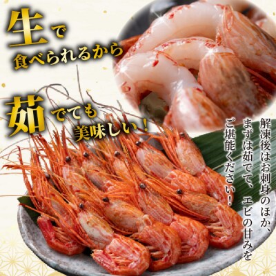【数量限定】北海道苫前産 シマエビ 1kg(500g×2) しまえび 縞海老 えび kit13
