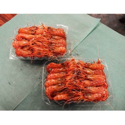 【急速冷凍】北海道苫前産シマエビ　500g×2《数量限定》(えび・海老・北海道・小分け・生)