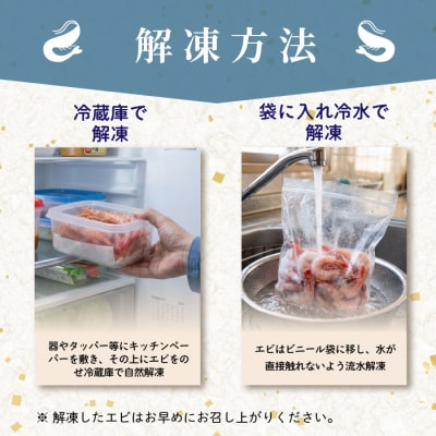 【数量限定】北海道苫前産 シマエビ 1kg(500g×2) しまえび 縞海老 えび kit13