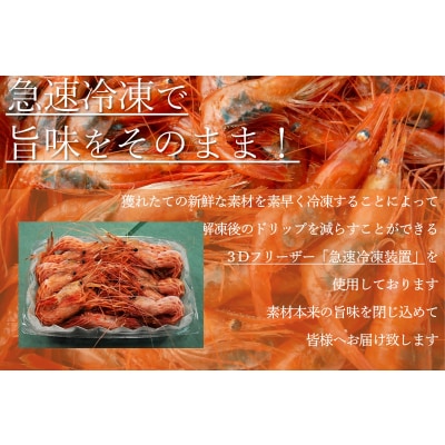 【急速冷凍】北海道苫前産シマエビ　500g×2《数量限定》(えび・海老・北海道・小分け・生)