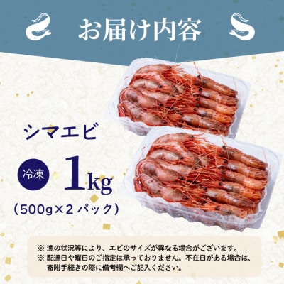 【数量限定】北海道苫前産 シマエビ 1kg(500g×2) しまえび 縞海老 えび kit13