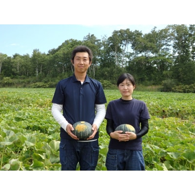 北のハイグレード食品認定】上田ファームのかぼちゃ団子3種　300g×3(北海道・おやつ・お弁当)