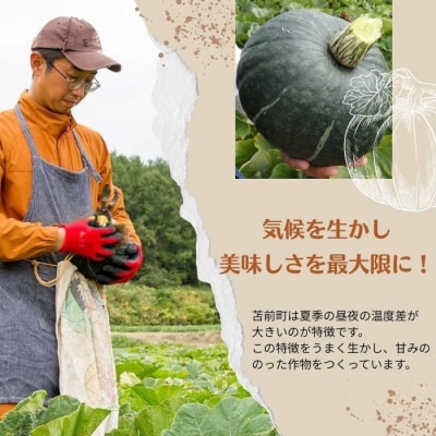 【朝の情報番組で紹介!】上田ファームのかぼちゃ団子(あんこ)300g×3 北海道産 苫前町