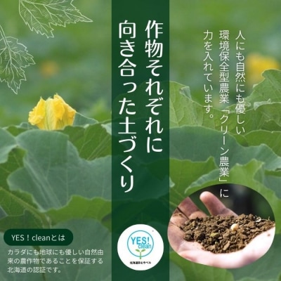 【朝の情報番組で紹介!】上田ファームのかぼちゃ団子(あんこ)300g×3 北海道産 苫前町