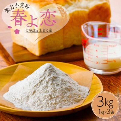 北海道とままえ産 強力小麦粉「春よ恋」1kg×3袋 北海道産 国産 小麦 小分け rum16