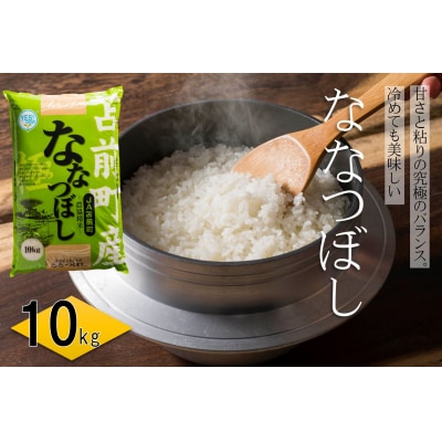 【令和6年産】北海道とままえ産ななつぼし　10kg