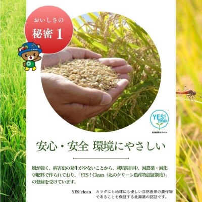 令和7年産 北海道とままえ産 ななつぼし 5kg【定期便 12か月】 北海道産 rum25