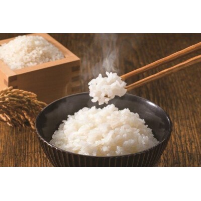 【定期便】【令和7年産】北海道とままえ産ななつぼし　10kg×12ヵ月連続お届け