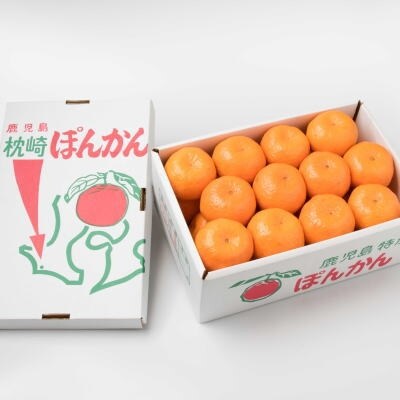 最高等級 秀 鹿児島枕崎産 城森さんちのポンカン 化粧箱入5k 2l 受付中 1月下旬から発送 お礼品詳細 ふるさと納税なら さとふる 最高等級 秀 鹿児島枕崎産 城森さんちのポンカン 化粧箱入5k 2l 受付中 1月下旬から発送 お礼品詳細 ふるさと納税なら さとふる