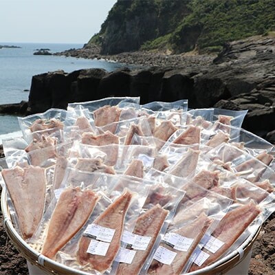 【訳あり】枕崎からの贈り物 かつおの腹皮【合計3Kg(12～16パック)】【規格外の為】 