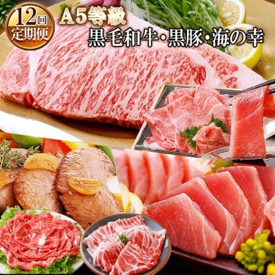定期便(12ケ月)A5等級黒毛和牛&黒豚・海鮮
