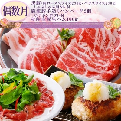 定期便(2回配送)鹿児島県産肉三昧(黒毛和牛・黒豚etc)